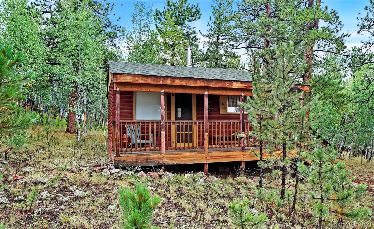 109 Wolf, Bailey, CO 80421 - #1