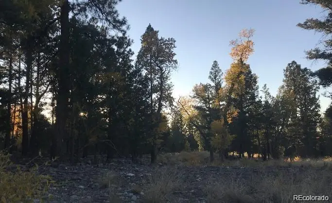 109 109 Deer Run Run, Mosca, CO 81146 - Image #2