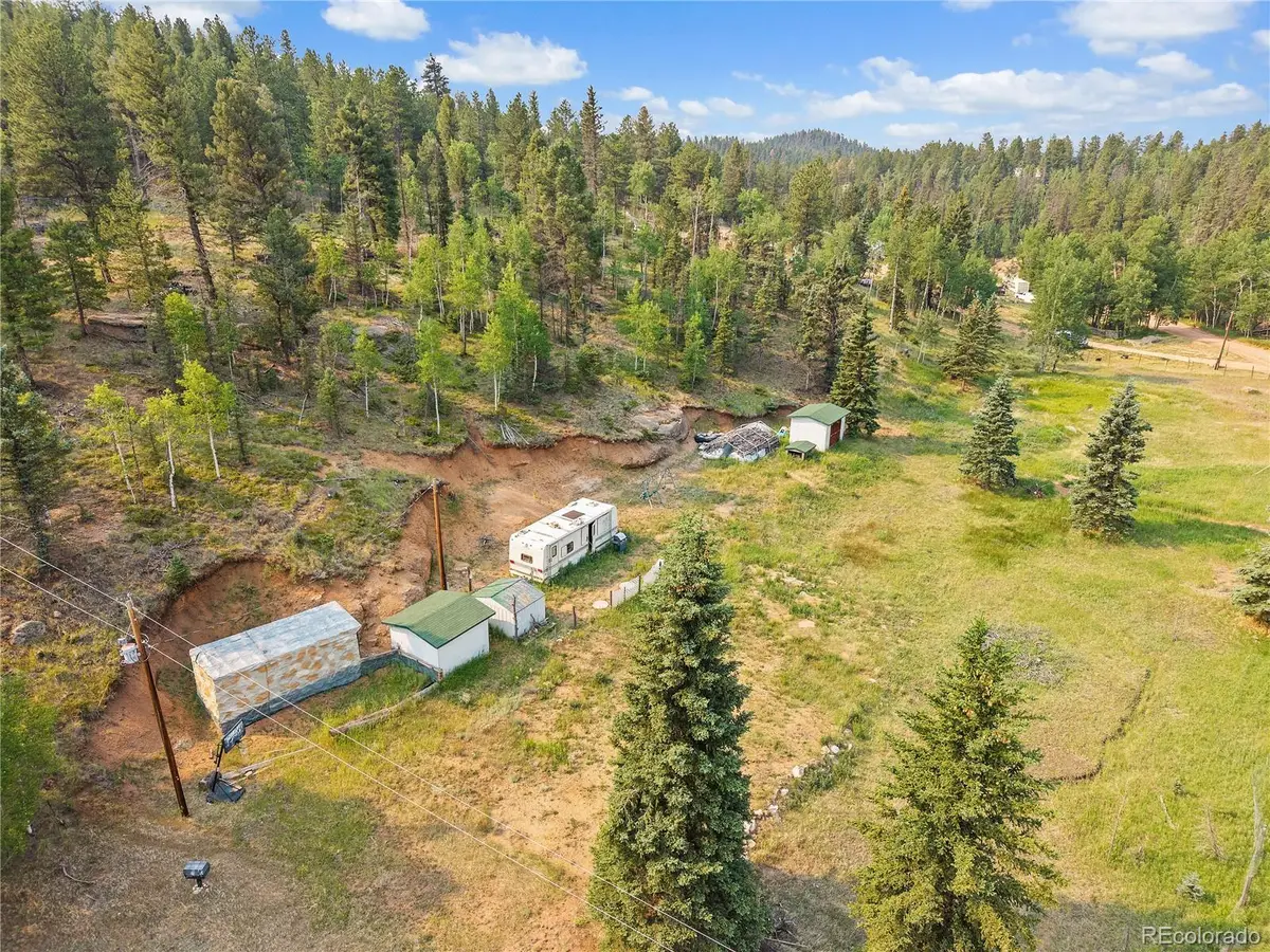 974 W Bison Creek Trail, Divide, CO 80814 - #1