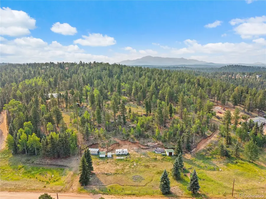 974 W Bison Creek Trail, Divide, CO 80814 - #3