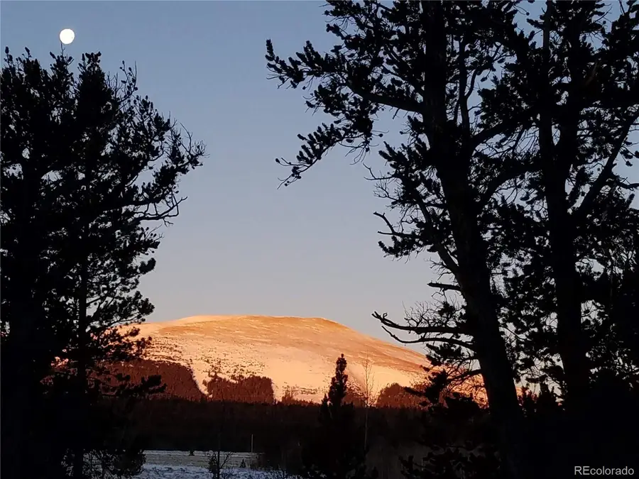 416 Foxtail Drive, Fairplay, CO 80440 - #3