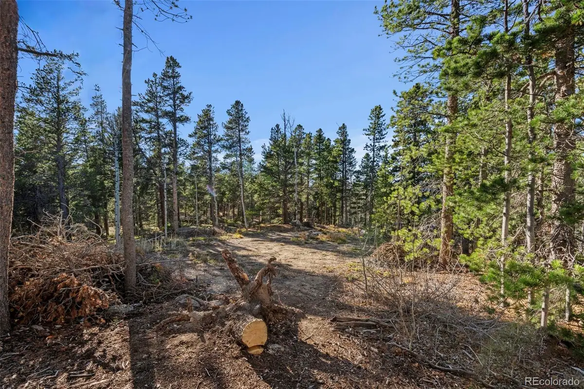00 Severance Lodge Rd, Black Hawk, CO 80422 - #1