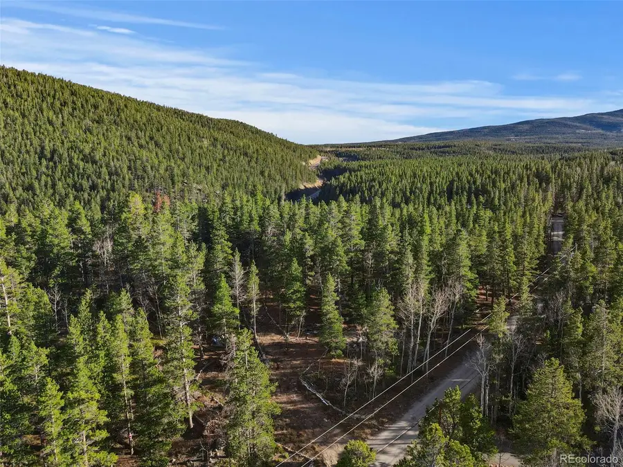 00 Severance Lodge Rd, Black Hawk, CO 80422 - #3