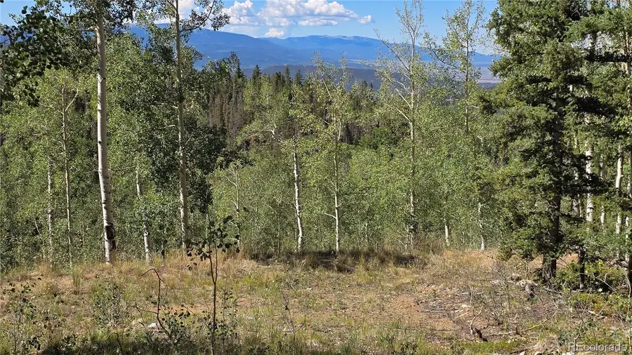 Lot 6174 Forbes, San Luis, CO 81152 - #2