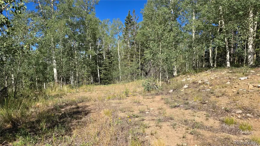 Lot 6174 Forbes, San Luis, CO 81152 - #3