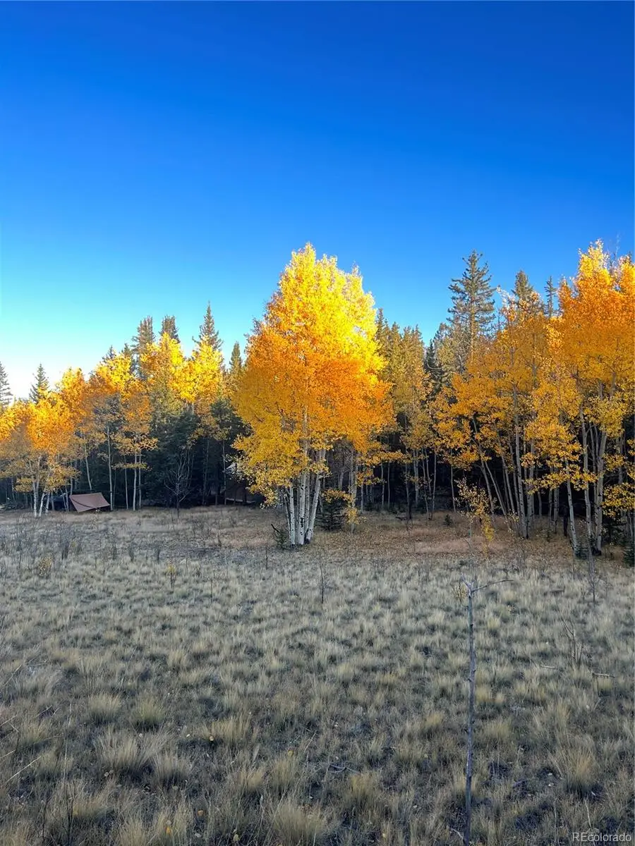 509 Tepee Trail, Como, CO 80432 - #2