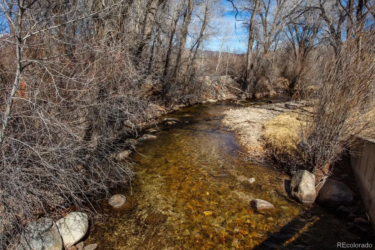 29571 County Road 350a, Buena Vista, CO 81211 - #1