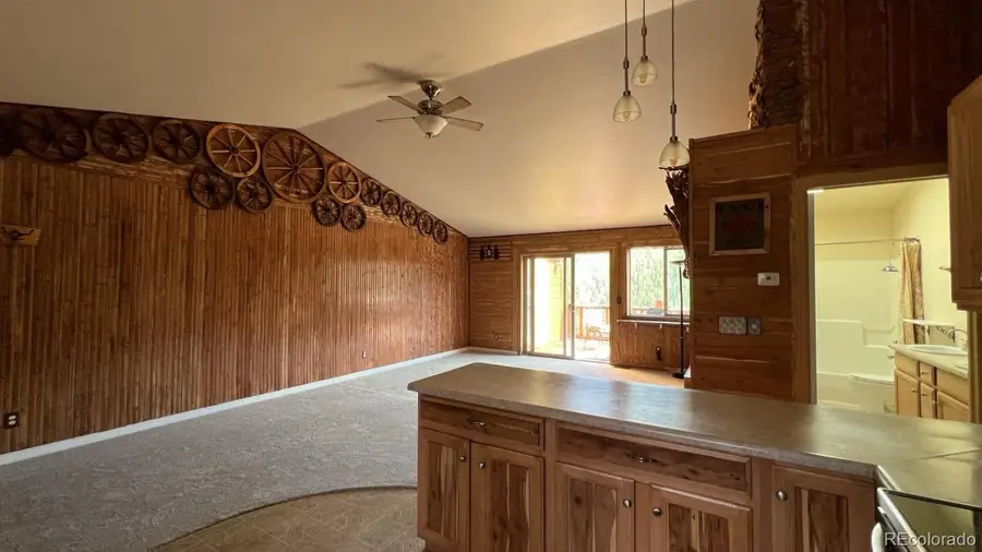 303 Virginia Road #E, Bailey, CO 80421 - Image #3