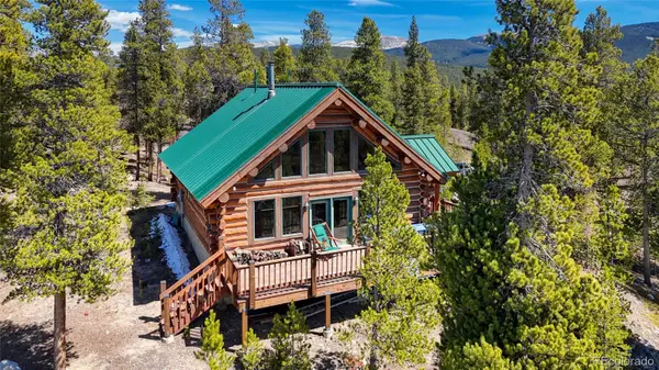 649 County Road 21 #62, Leadville, CO 80461