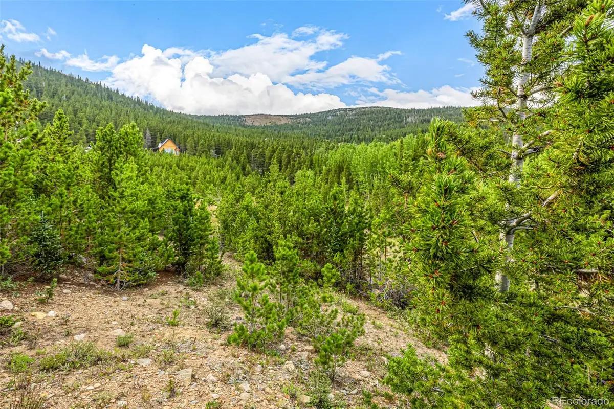 Aspen Road, Idaho Springs, CO 80452 - Image #1