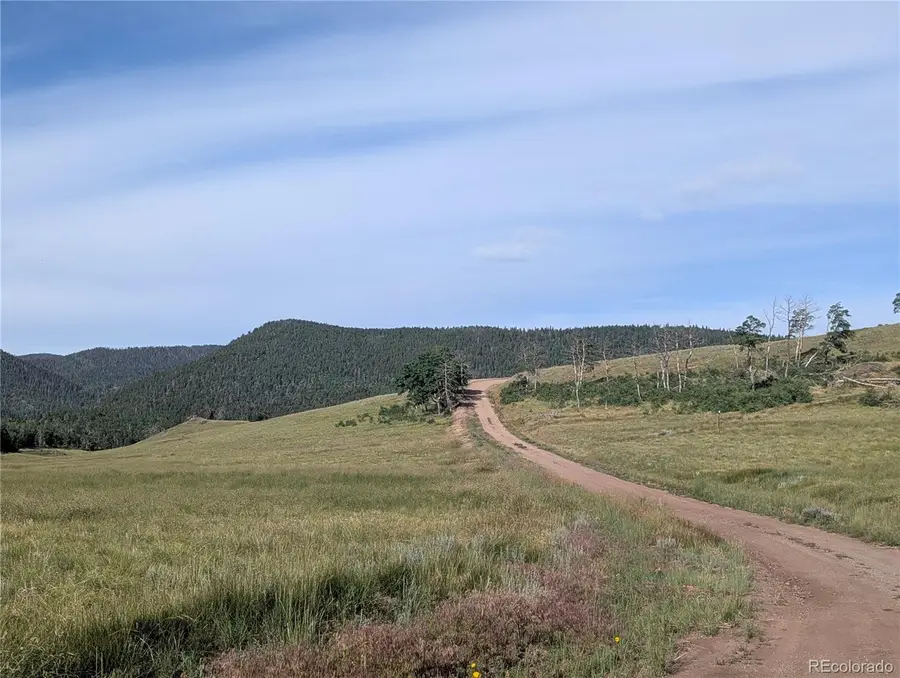 910 Ueda Place, Fort Garland, CO 81133 - Image #3