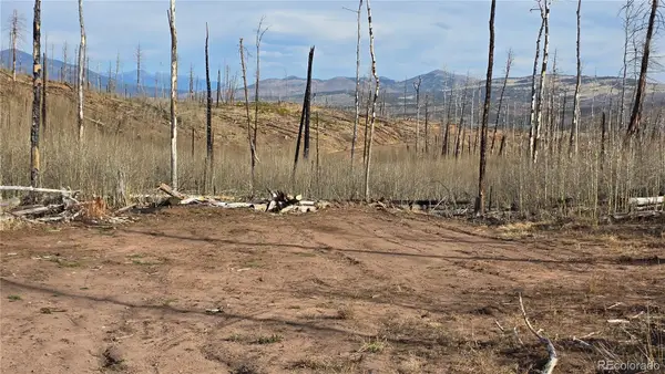 Lot 880 Slaoui Place, Fort Garland, CO 81133