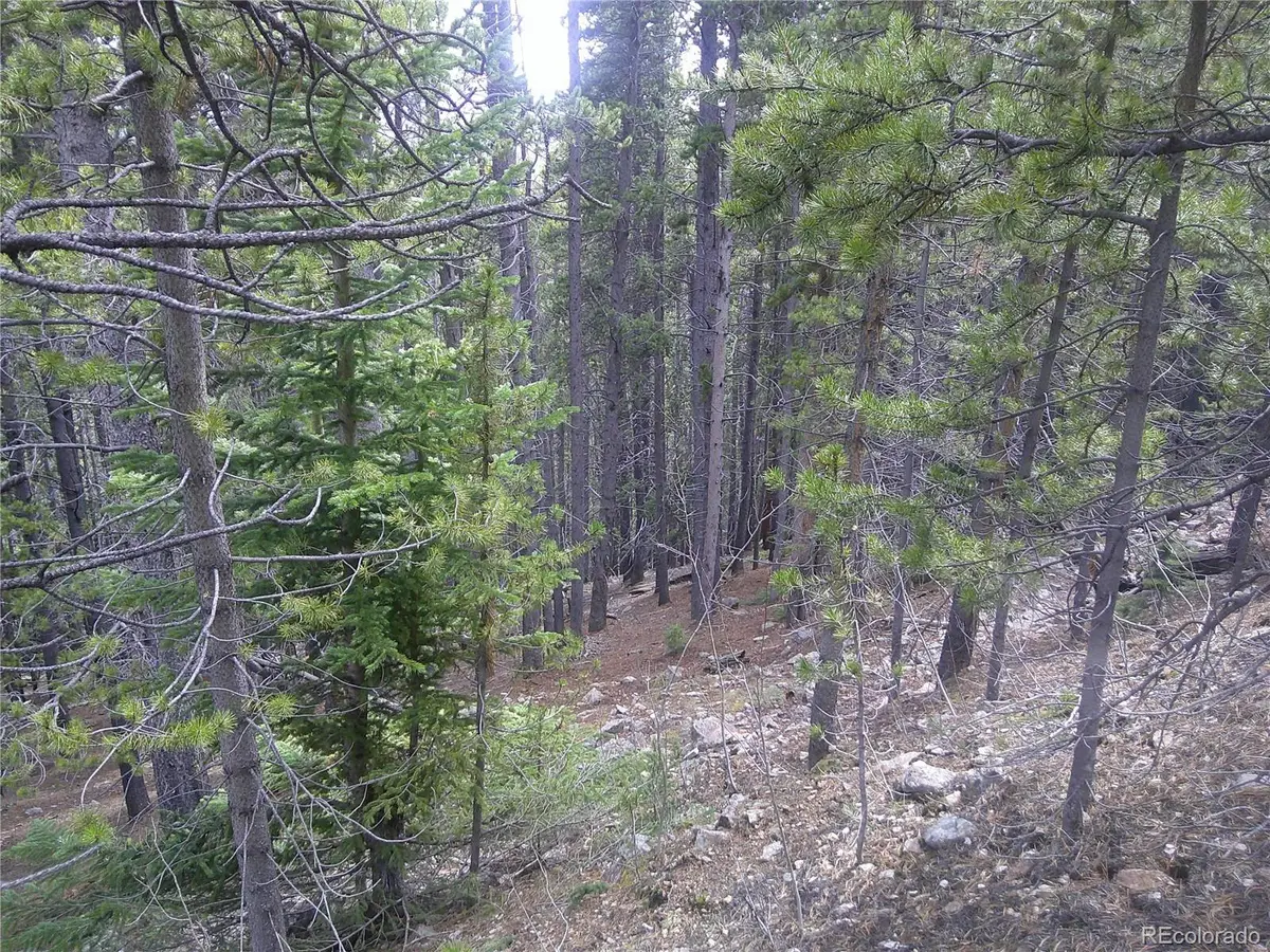 Lot #440 Hillside Road, Idaho Springs, CO 80452 - Image #1
