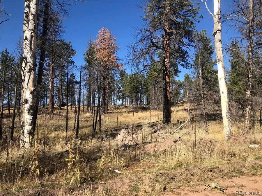 000 Marriot Circle, Fort Garland, CO 81133 - Image #3