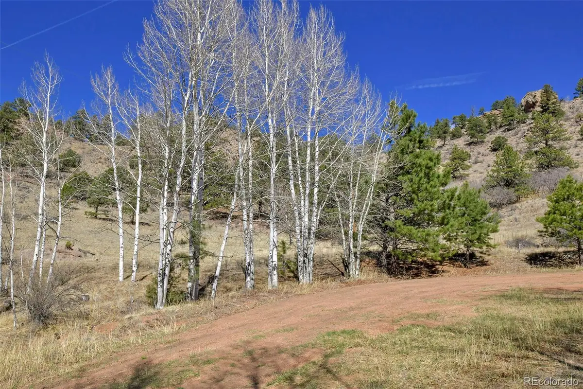 221 Floresta, Florissant, CO 80816 - #1
