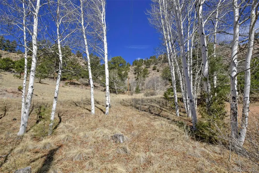 221 Floresta, Florissant, CO 80816 - #2