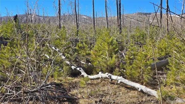 Lot 1460 Von Heyl Lane, Fort Garland, CO 81133