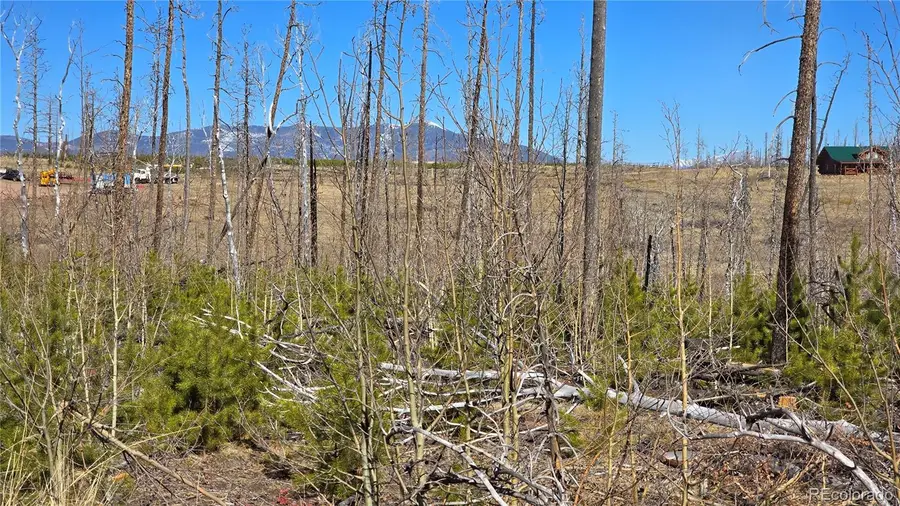 Lot 1460 Von Heyl Lane, Fort Garland, CO 81133 - #2