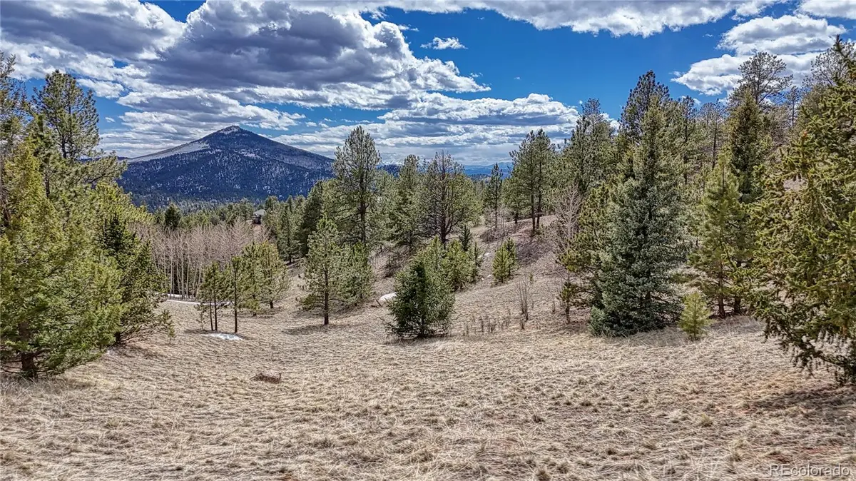 336 May Queen Drive, Cripple Creek, CO 80813 - #1