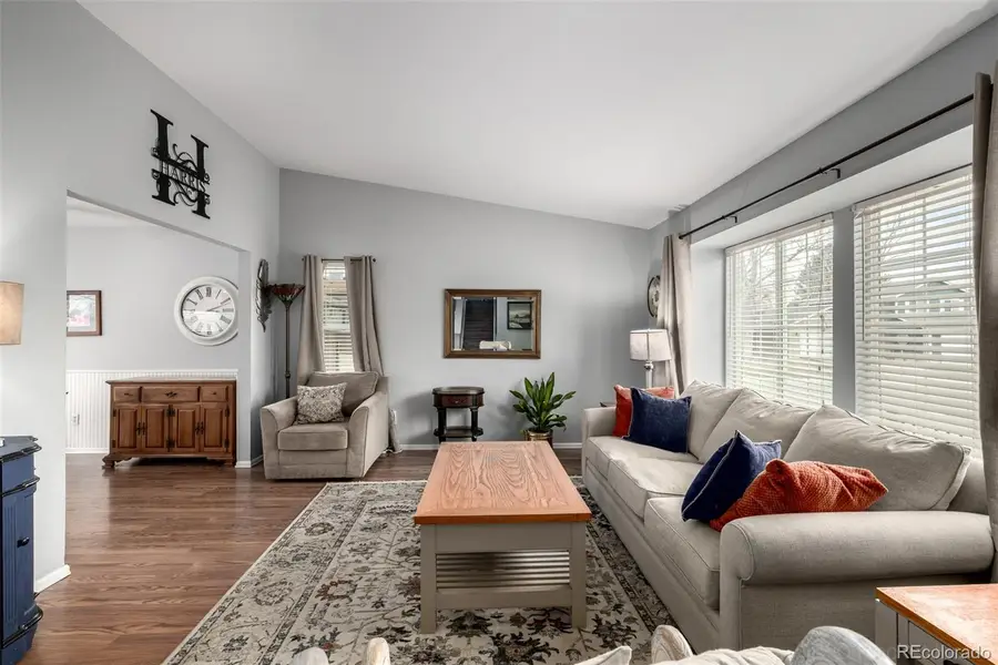 395 Mountain Cloud Circle, Highlands Ranch, CO 80126 - #3