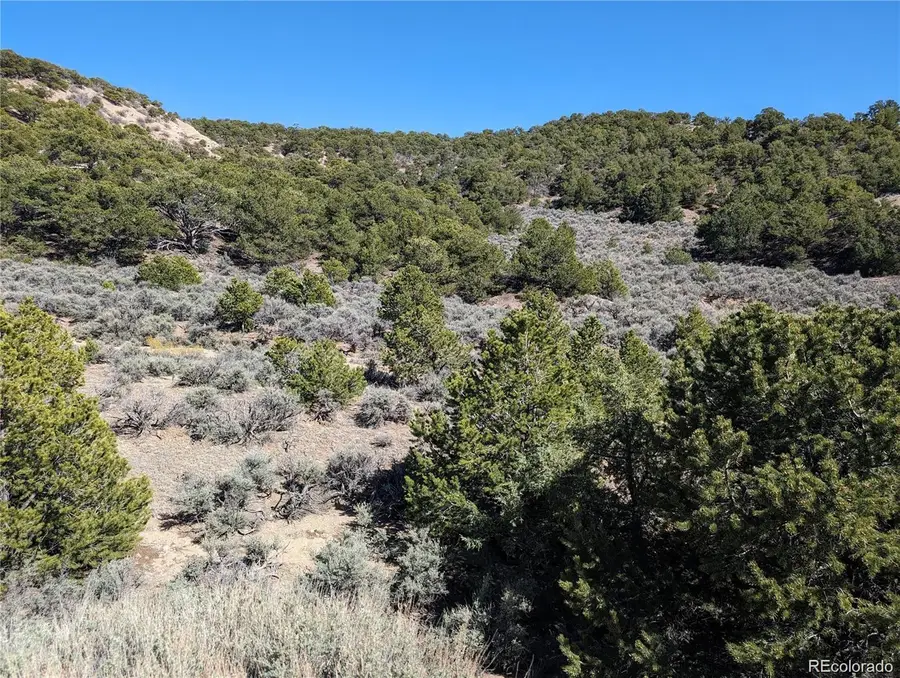 Lot 2131 Trujillo Road, Fort Garland, CO 81133 - Image #2