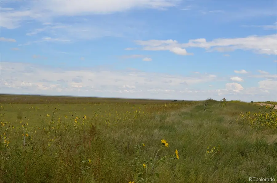 Parcel 8 County Rd V, Rush, CO 80833 - #2