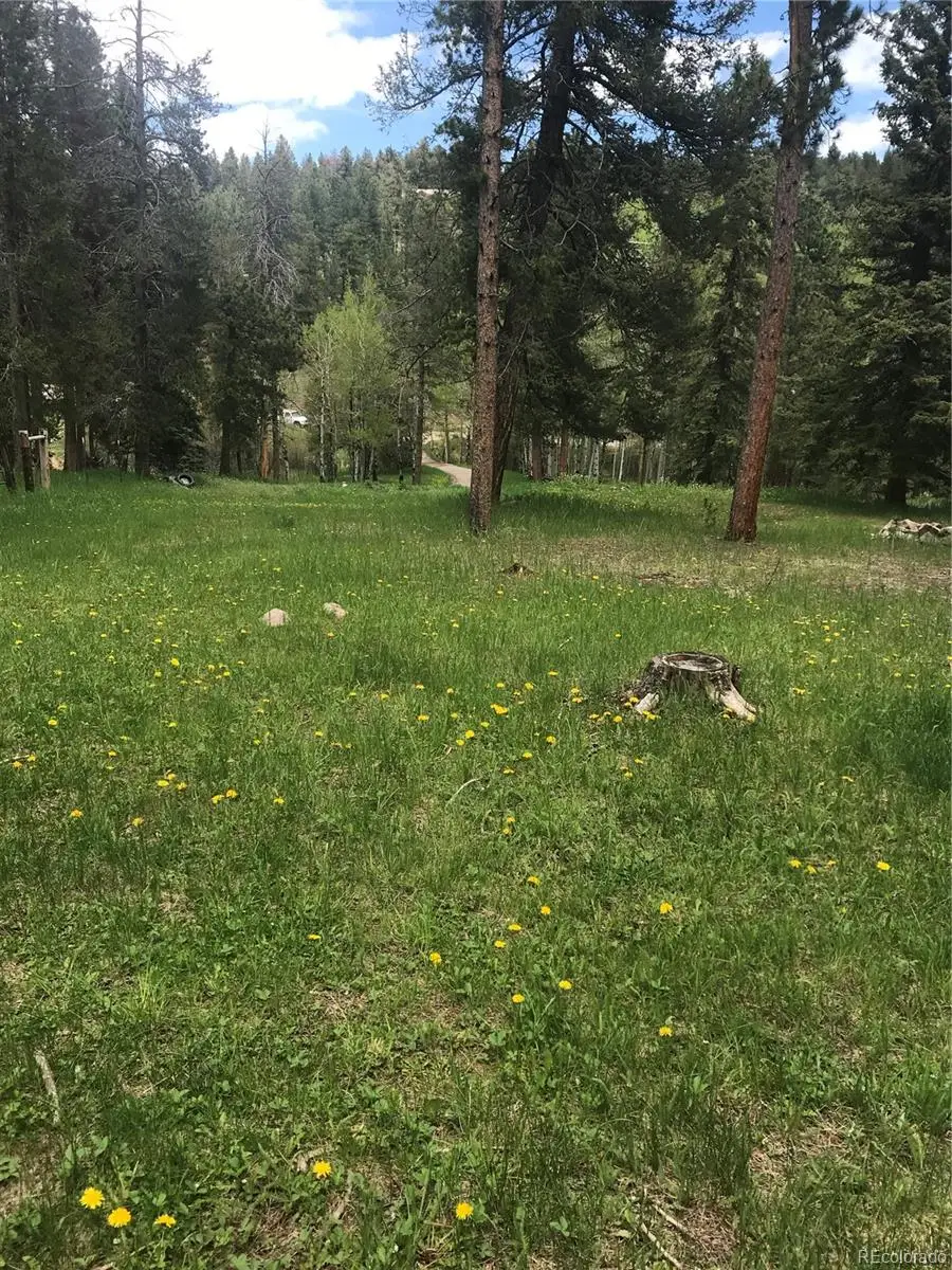 0 Shadow Mountain Drive, Conifer, CO 80433 - Image #2