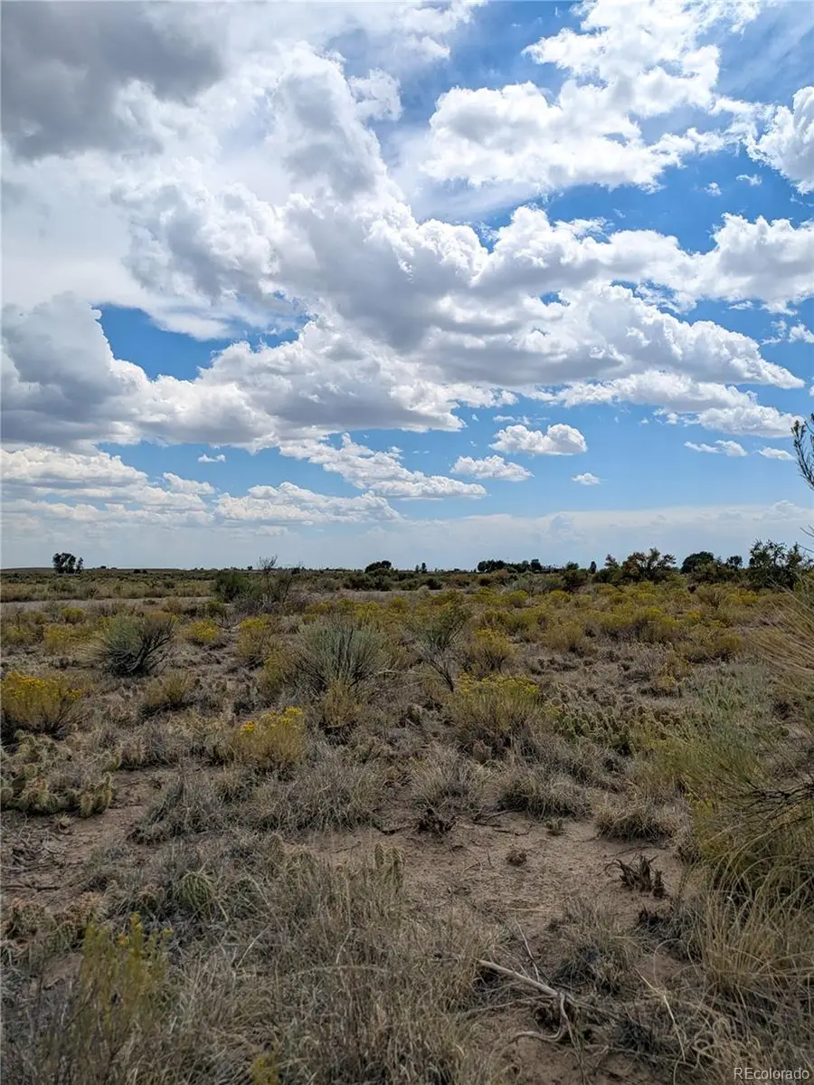 411 Camino Del Rey, Crestone, CO 81131 - #3