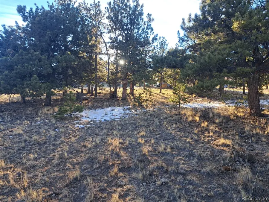 186 Boulder Road, Hartsel, CO 80449 - Image #3