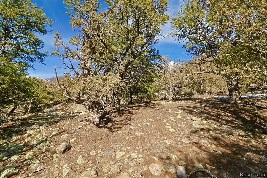 2130 Big Ranch Overlook, Crestone, CO 81131 - #3