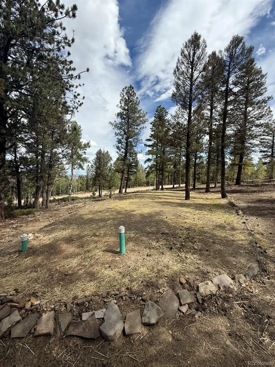 1667 Singletree Road, Hartsel, CO 80449 - #3