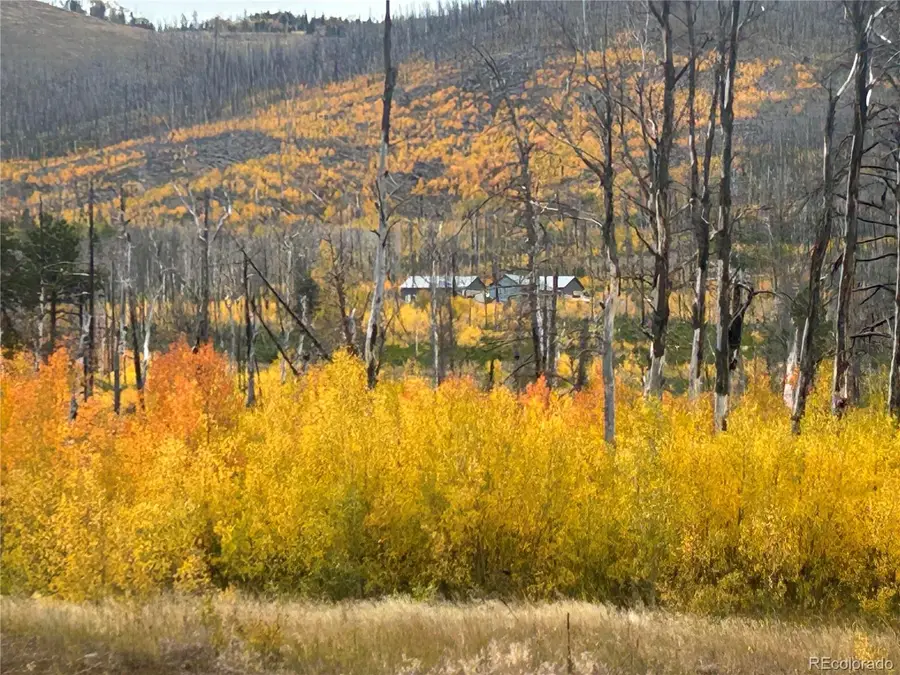 1944 Strauss Drive, Fort Garland, CO 81133 - Image #3