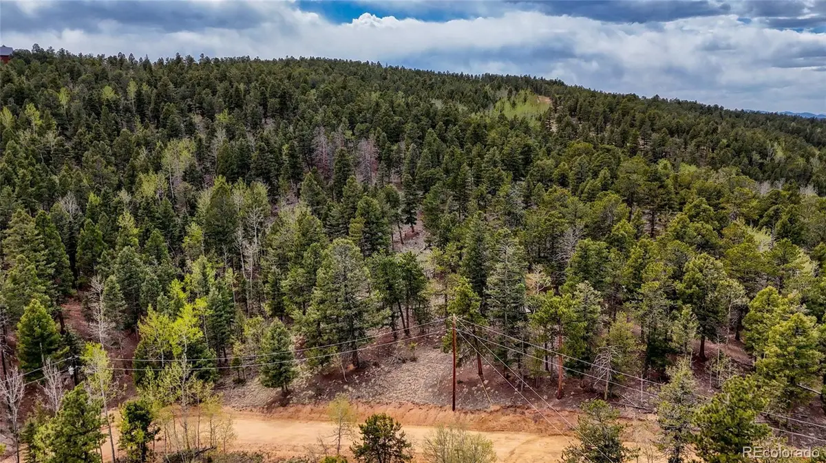 259 Potlatch Trail, Woodland Park, CO 80863 - #1