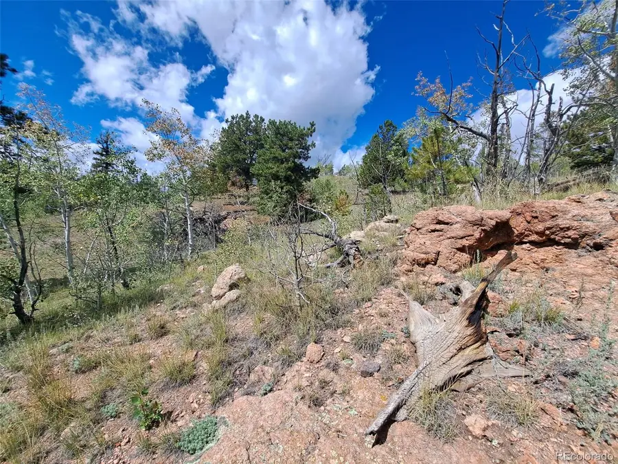 6452 Remington Road, Como, CO 80432 - Image #2