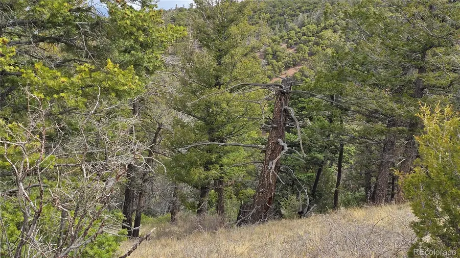 Lot 5505 Balleroy Road, Fort Garland, CO 81133 - #3