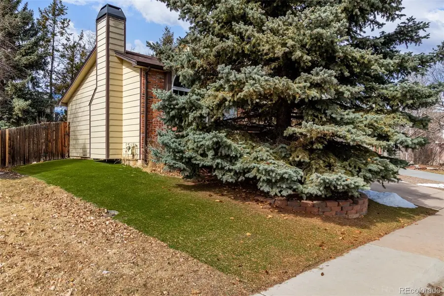 119 S Pembrook Street, Castle Rock, CO 80104 - #2