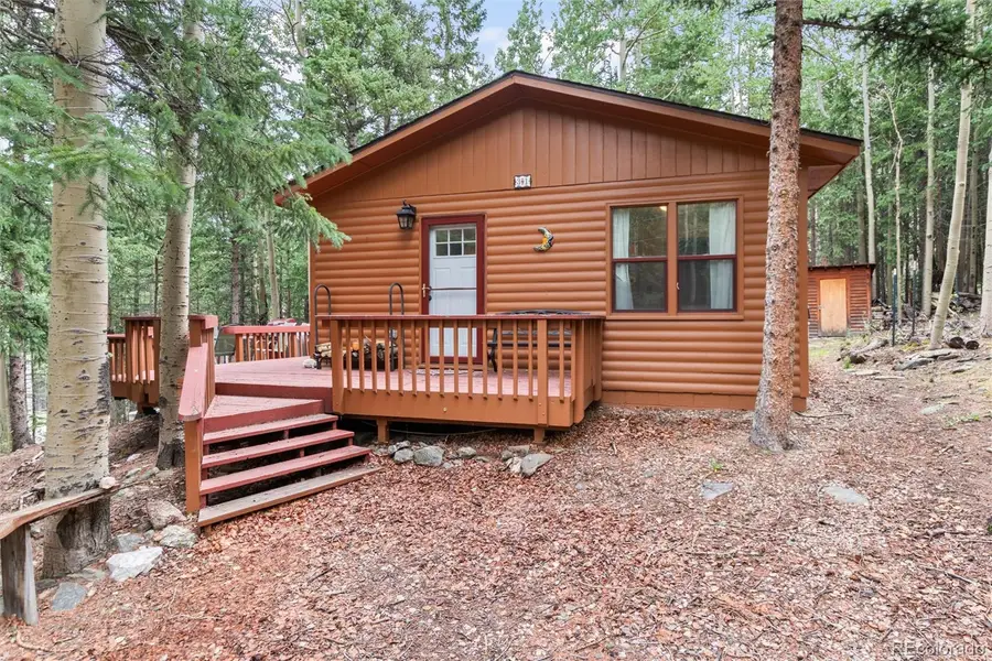 31 Aspen Loop Road, Idaho Springs, CO 80452 - #2