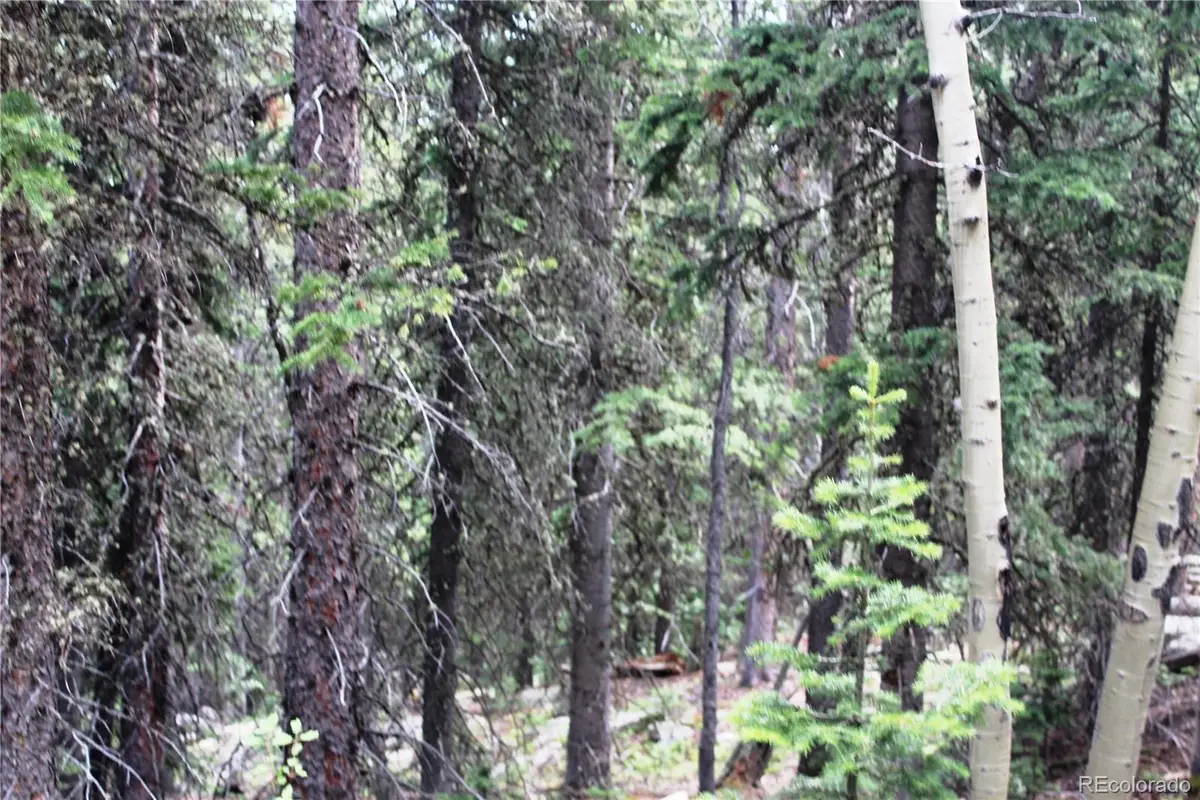 00 Hidden Wilderness Road, Idaho Springs, CO 80452 - #1