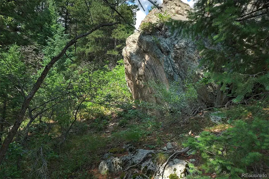 13884 N Trail Circle, Littleton, CO 80127 - Image #3