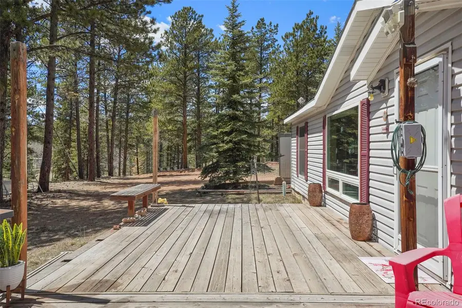 2450 Pathfinder Road, Florissant, CO 80816 - #3