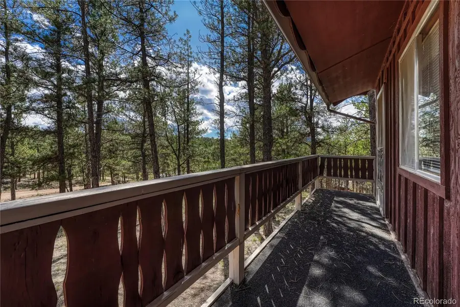 101 Dunlap Drive, Florissant, CO 80816 - #3