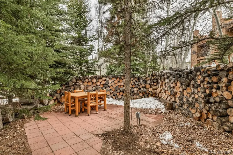 53 Burgundy Circle #A, Silverthorne, CO 80498 - #2