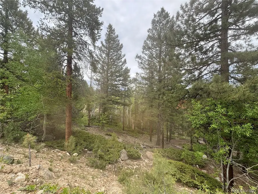 30304 Aspen Turn, Buena Vista, CO 81211 - Image #3