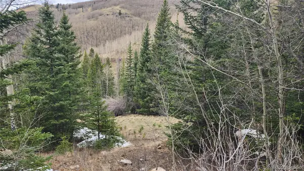 6435 Bronfman Road, San Luis, CO 81152