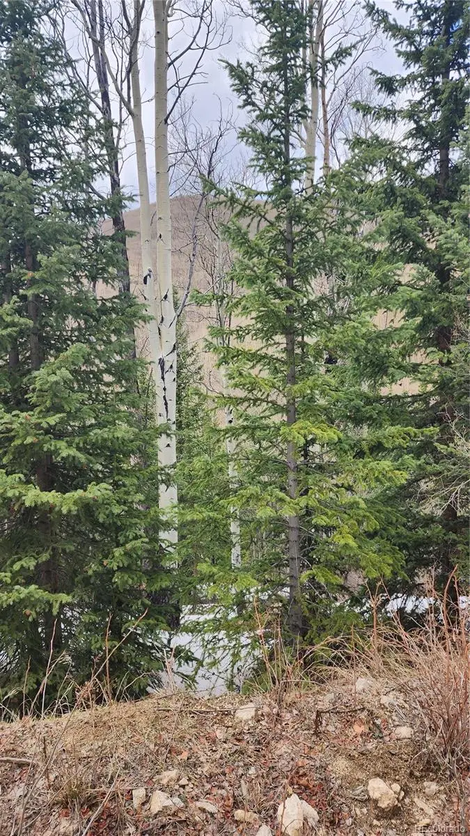 6435 Bronfman Road, San Luis, CO 81152 - #2