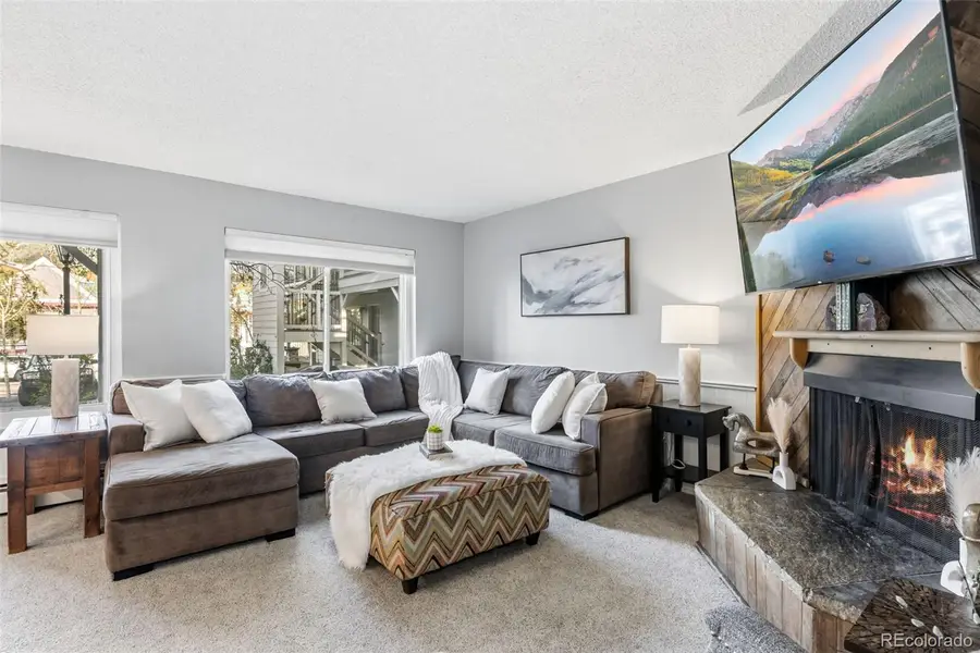 412 S Main Street #1A1, Breckenridge, CO 80424 - #3
