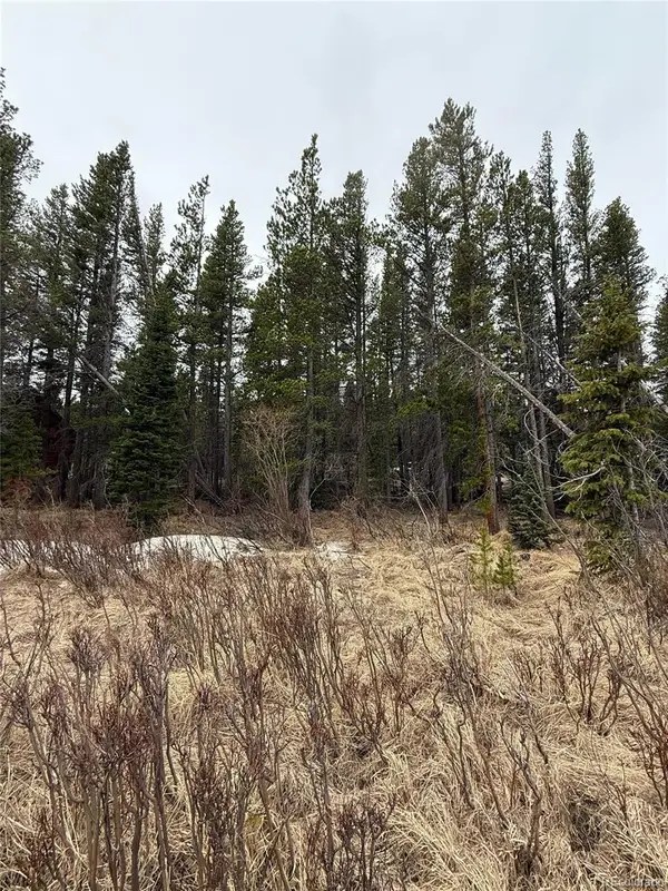 111 Silver Creek Road, Idaho Springs, CO 80452