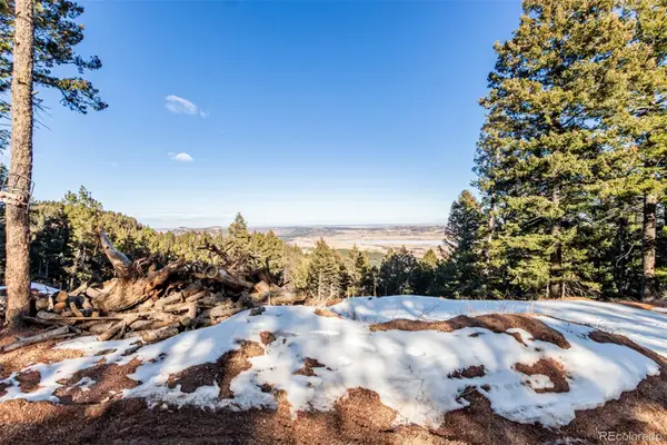 2199 Badger Drive, Larkspur, CO 80118