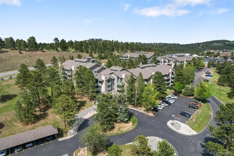 31819 Rocky Village Drive #317, Evergreen, CO 80439 - #2