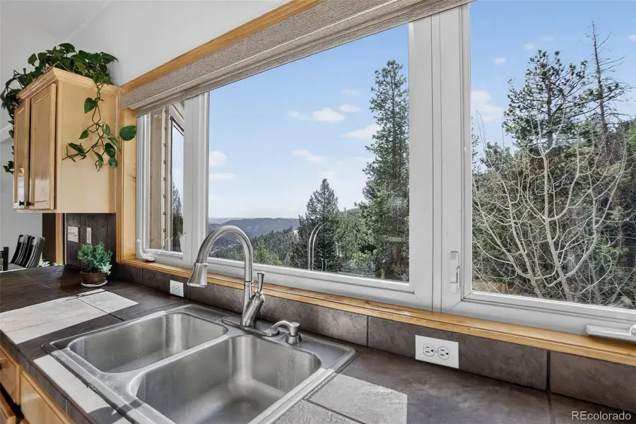 1255 Hy Vu Drive, Evergreen, CO 80439 - #3